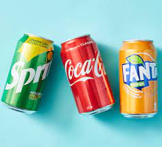 Canned and Bottled Drinks Business Financial Plan and Projections